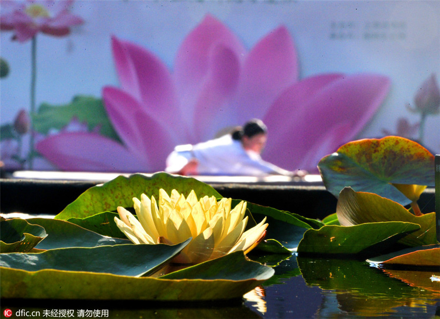 Performing yoga in scorching heat