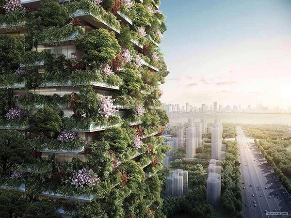 Italian architect's 'vertical forest' to address pollution