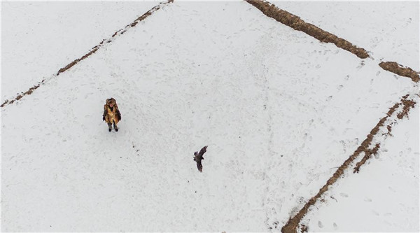 Manchu falconry culture turns to protection