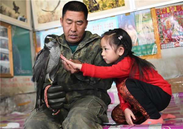 Manchu falconry culture turns to protection