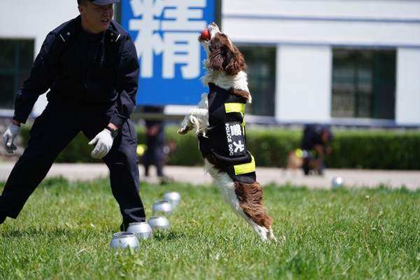 Border police partner up with man's best friend