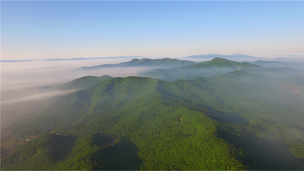 Jilin province goes greener