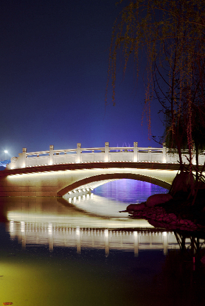 Night scene of the Expo site