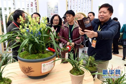 Orchid exhibition opens in Fujian county