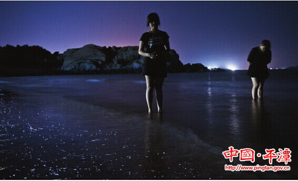 'Blue Tears' make a comeback in Pingtan