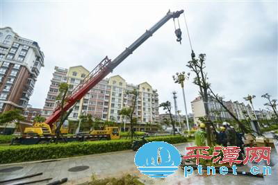 Typhoon Soudelor batters Pingtan