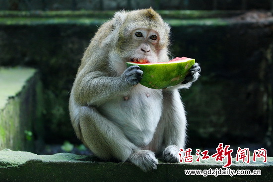 Cool yourself from the hot weather in Zhanjiang