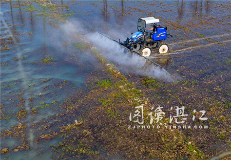 High-tech machinery aids Leizhou's planting season