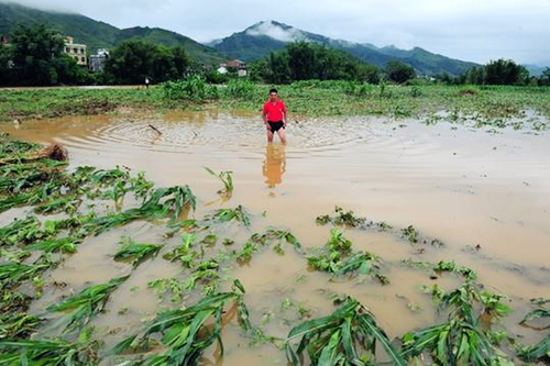 Rain floods fields