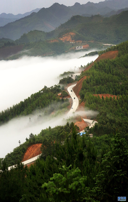 Mountains submerged in fog