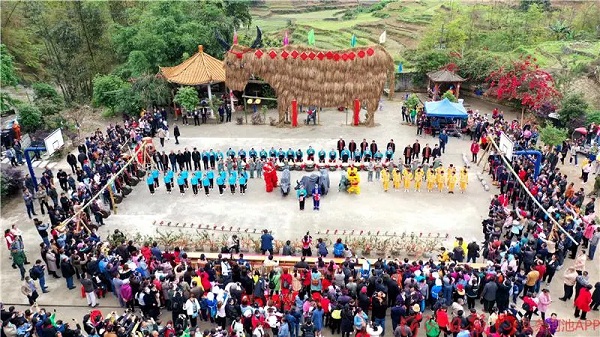 Village in Hechi holds celebration of cattle worship