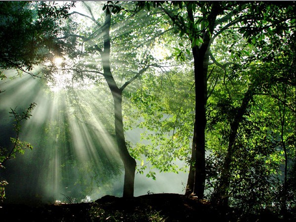 Huaxi National Wetland Park