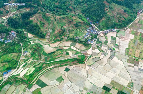 In pics: rice fields in China's Guizhou