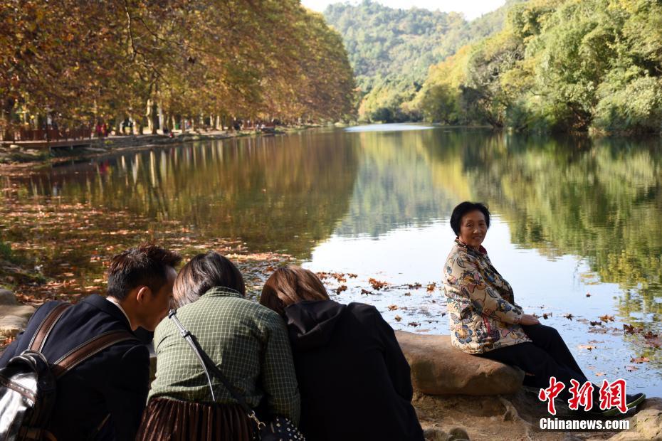 'Golden Avenue' captures the beauty of the change in season