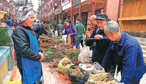 Traditional medicine heads into the mainstream