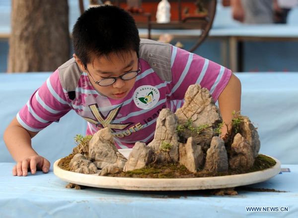 'Flowers and trees trade' kicks off in Henan's Xuchang