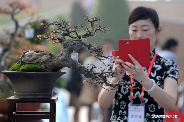 'Flowers and trees trade' kicks off in Henan's Xuchang