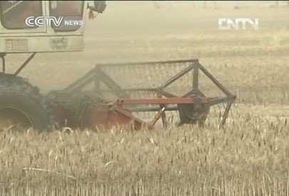 Urbanization shrinking farmland area in Henan