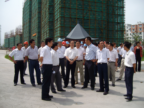 People’s representatives check Huaqiao