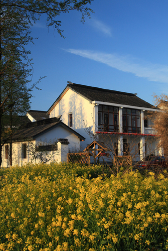 Huaqiao in early spring