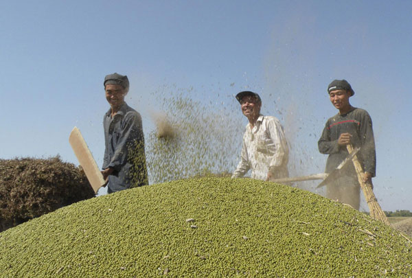 Good harvest is around China this autumn