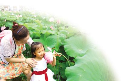 Chunhua town opens lotus festival