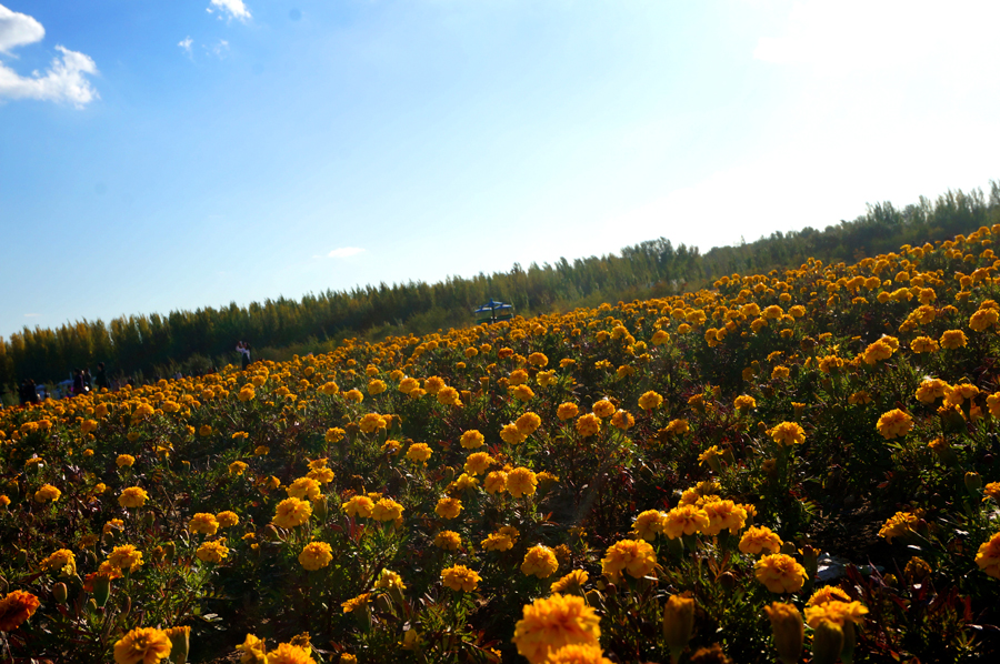 Saihantala Ecological Park