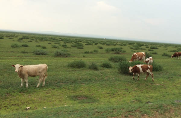 Journey to the silk road - Inner Mongolia autonomous region