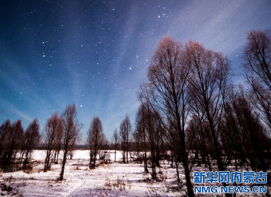 Spectacular starry night in Inner Mongolia forest