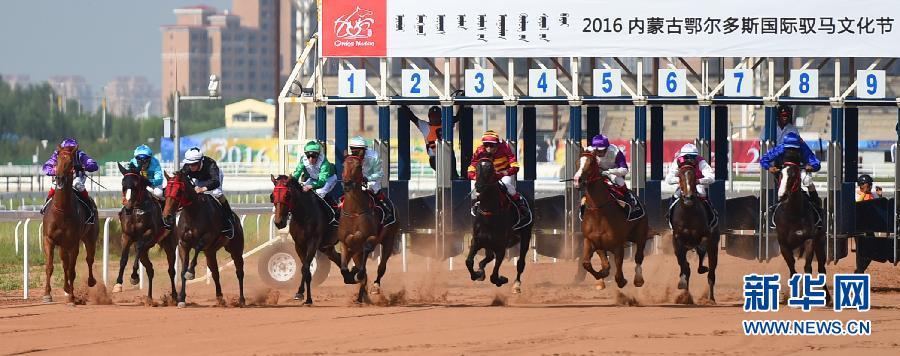 Horse racing clops in Ordos