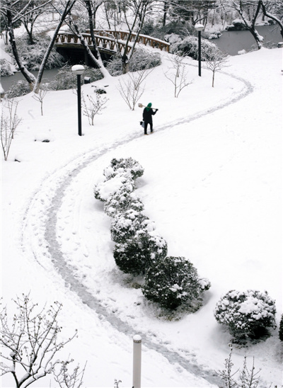 Snowscape in the old town