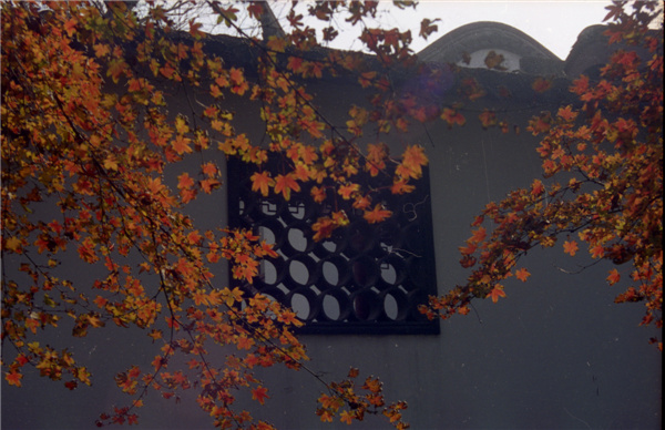 Autumn of Zhouzhuang