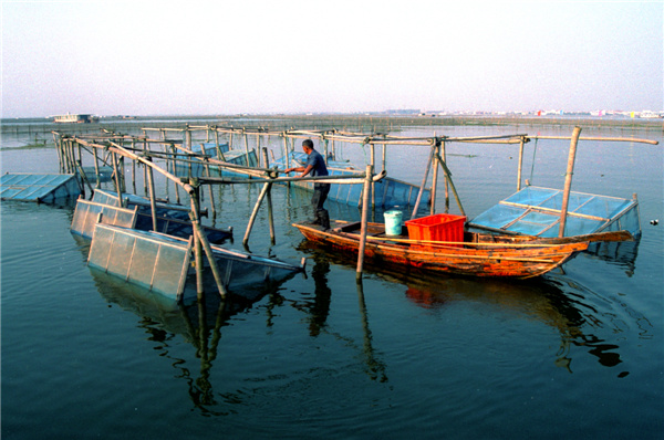 Yangcheng Lake