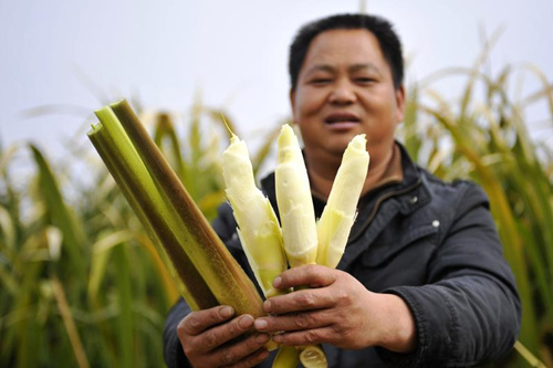 Taste of autumn delicacies in Kunshan