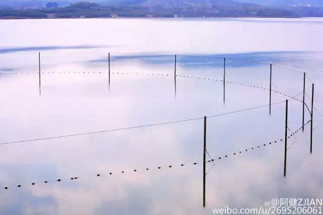 Pictures capture Wuxi's resplendent beauty