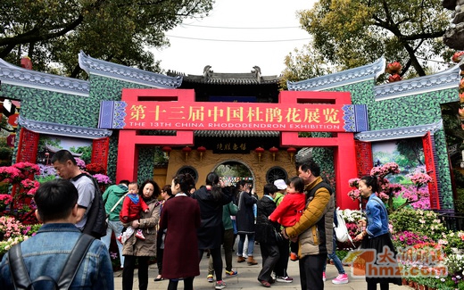 China Rhododendron Exhibition opens in Wuxi