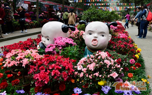 China Rhododendron Exhibition opens in Wuxi