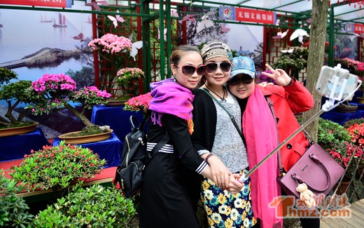 China Rhododendron Exhibition opens in Wuxi