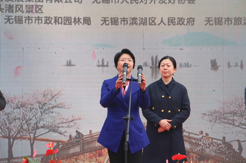 Spring opens Wuxi flowers and scenic spot gates in 2017 cherry blooms festival