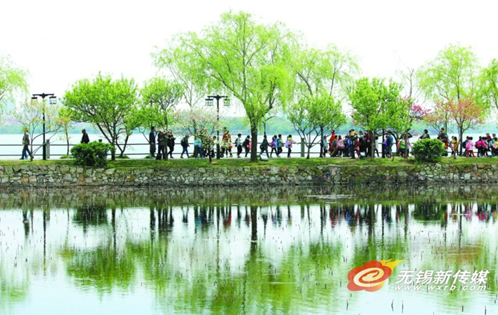 Early summer glitters in Wuxi