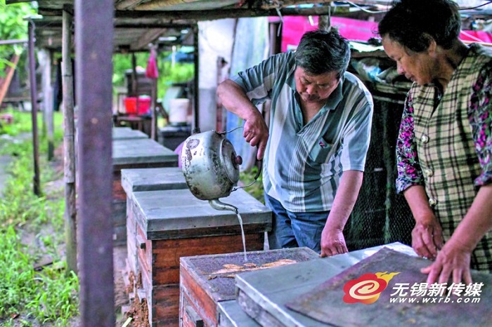 Wuxi beekeeper hopes for sweeter future