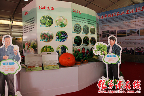 Cross-Straits Agriculture Expo opens in Zhangjiagang