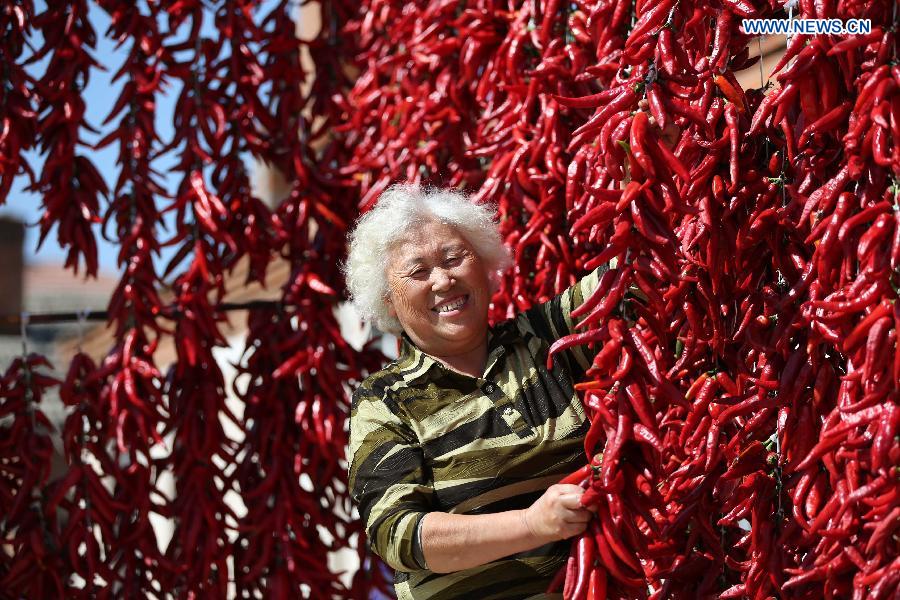 Harvest season colored by ripe crops in Jilin