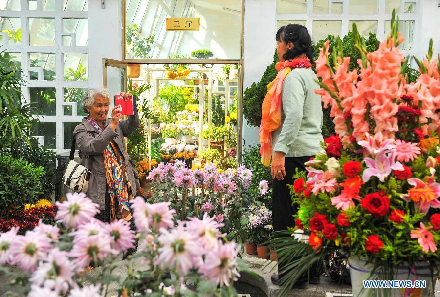 Autumn chrysanthemum show held in NE China