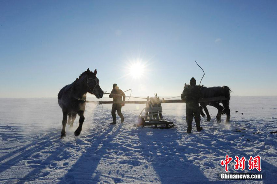 First fish at Chagan Lake's winter fishing earns $121,646