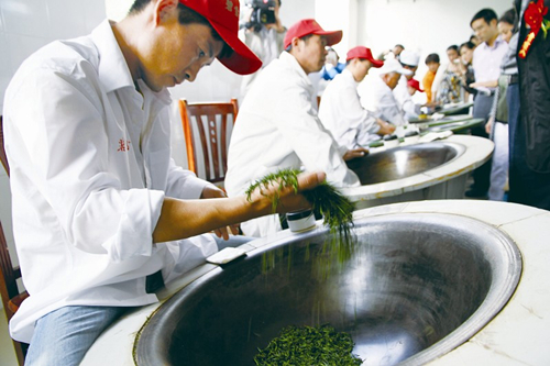 Green tea industry blooms in Qingdao