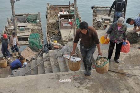 Fresh seafood hits Qingdao market as summer fishing ban ends