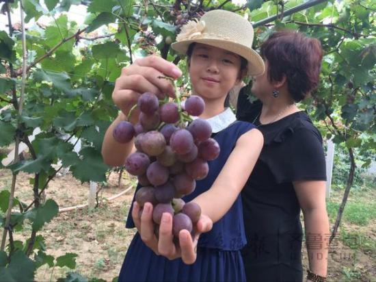 Qingdao receives 1.6m tourists during Mid-Autumn Festival