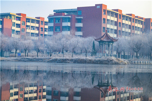 Rime creates a wonderful winter scene in Qingdao