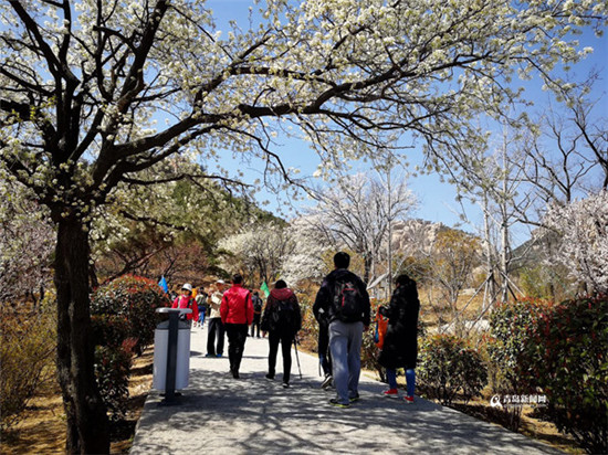 Qingdao welcomes more tourists during tomb-sweeping festival